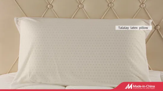 Véritable oreiller en latex naturel Talalay USA oreiller de haute qualité